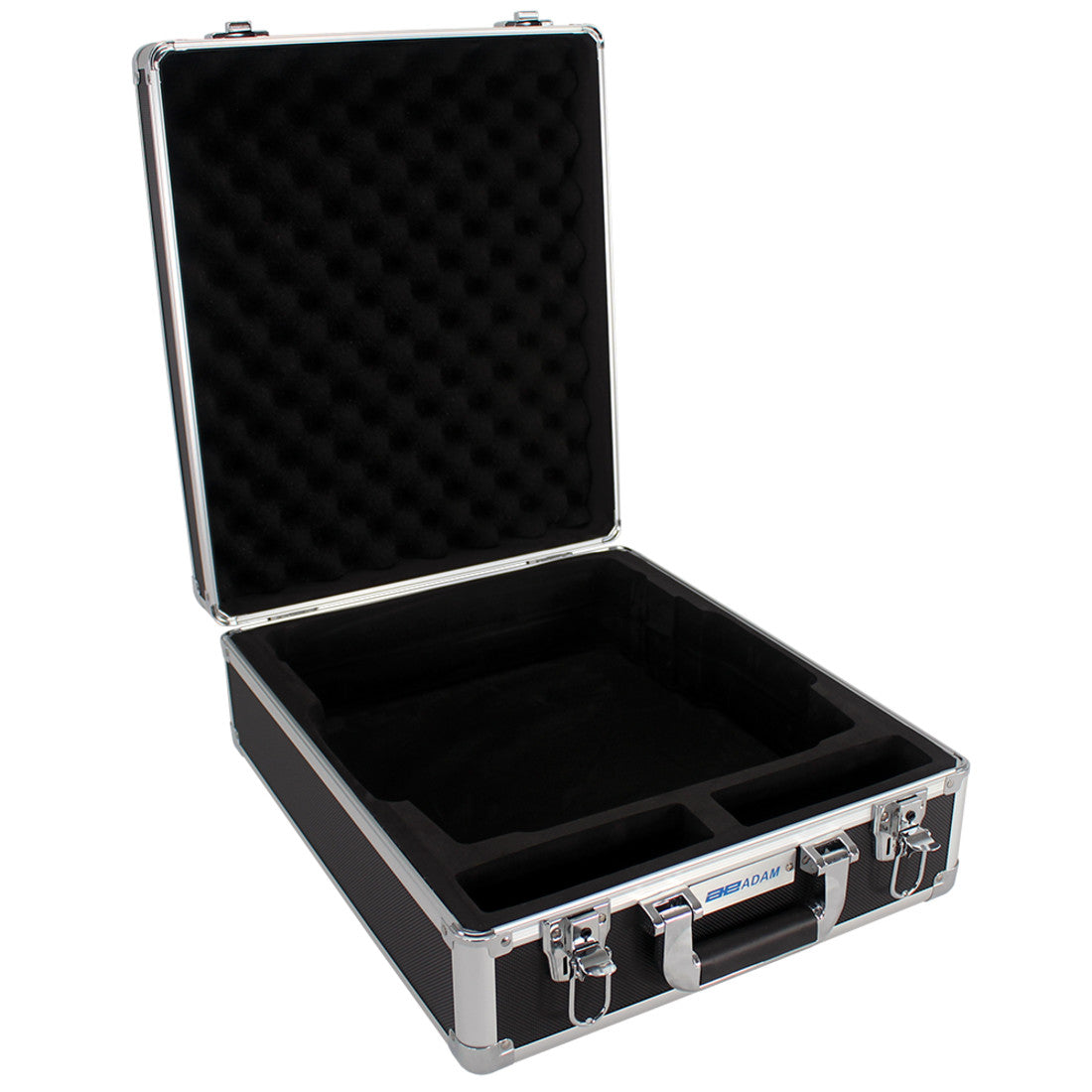 Hard carrying case with lock (302013912)