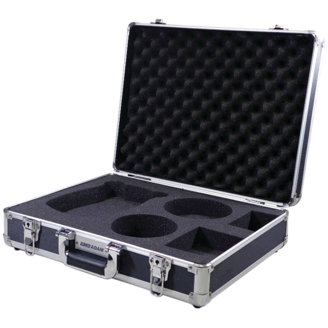 Hard carrying case with lock (308002042)